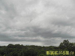 2023-06.29　雨雲拡がる里山 01.JPG